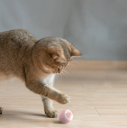 Purrfect Play Cat Ball